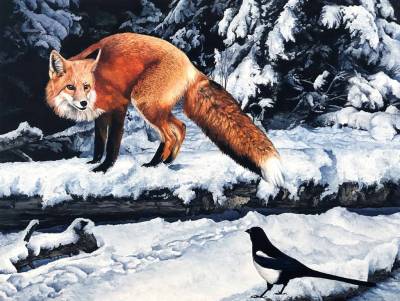 The Taunt - Red Fox and Magpie